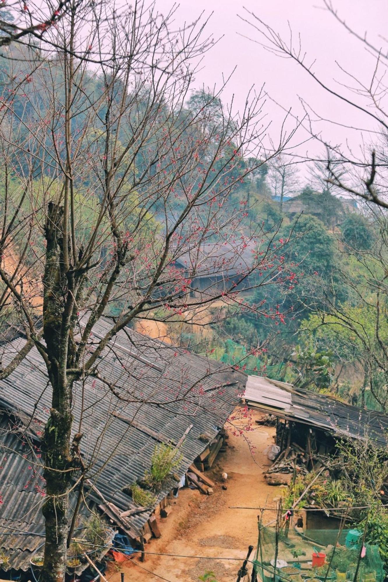 Nha Hang Homestay Pho Nui Bac Yen Exterior photo